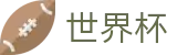 FIFA 2026世界杯官方授权网站 | 唯一指定入口